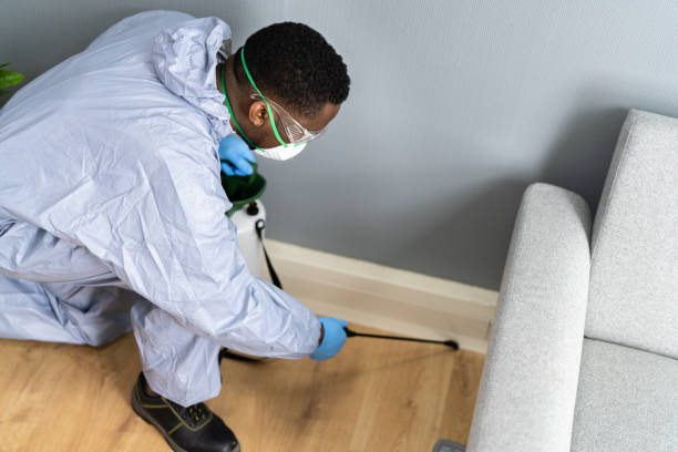 Best Real Estate Pest Inspections  in Joshua, TX